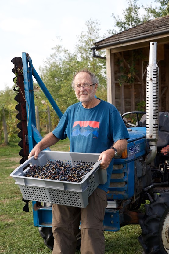 Alan with harvested grapes in the vineyard