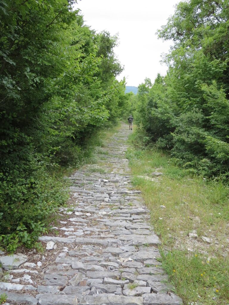 Traditional cobbled path Zagoria