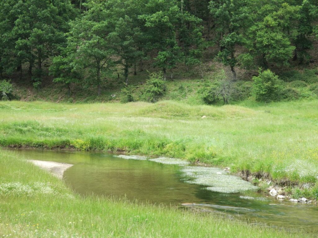 Ladopotamos clear stream between meadows, upstream from Korestia