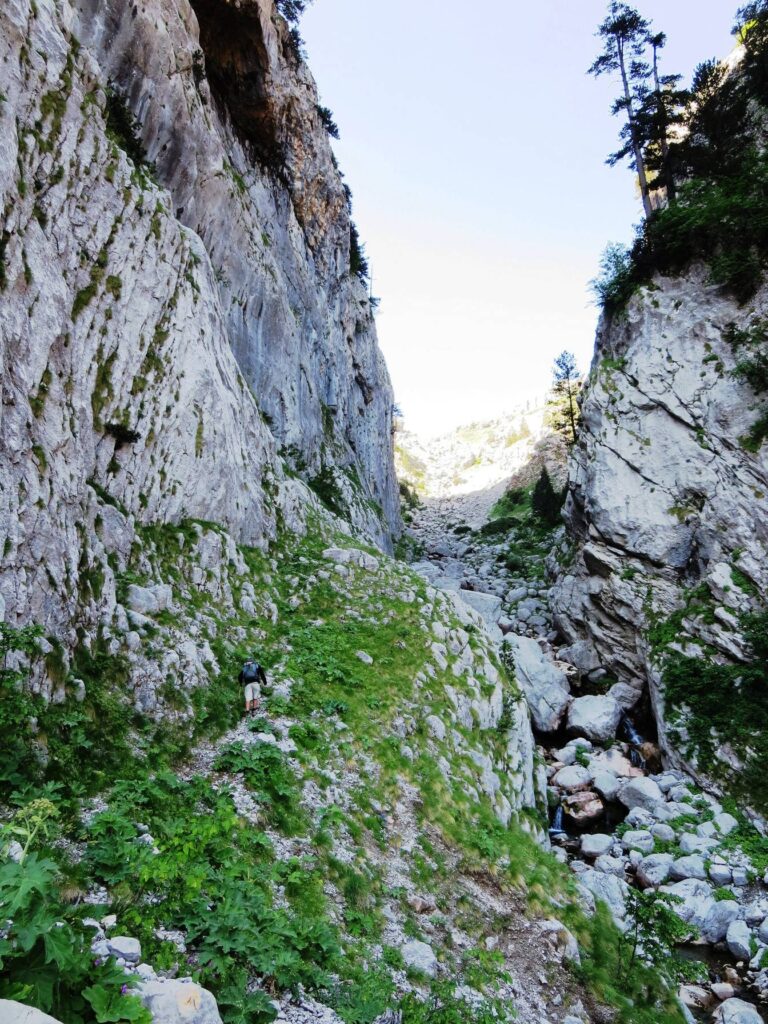 Steep and precipitous path alongside a stream with cliffs above, leading to the Timfi plateau