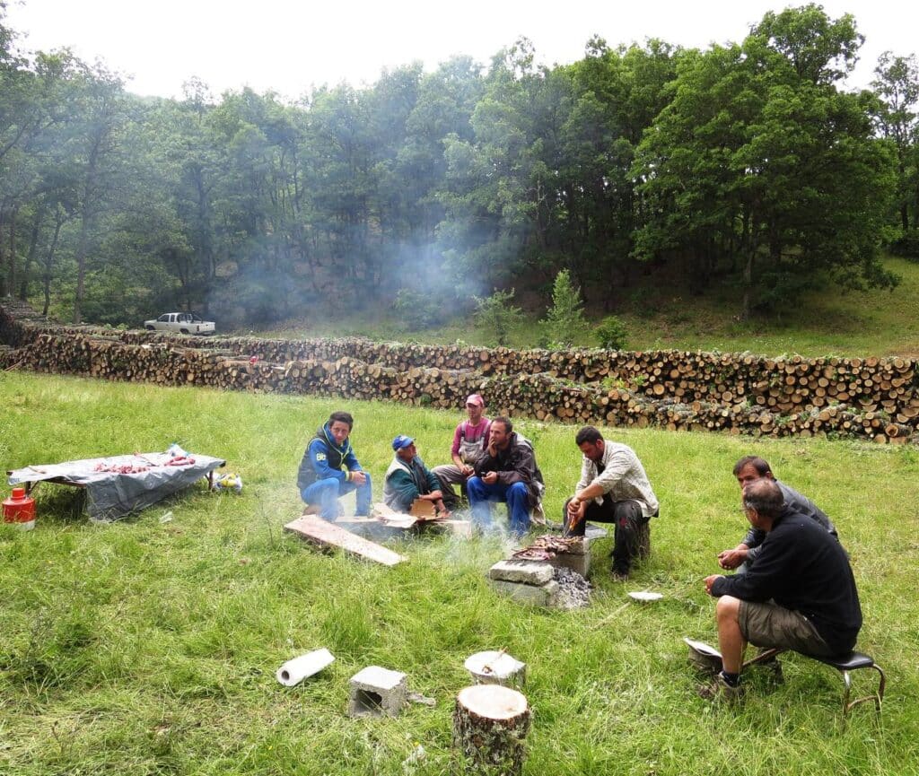 Albanian forestry workers sitting round barbecue, with cut logs piled up behind