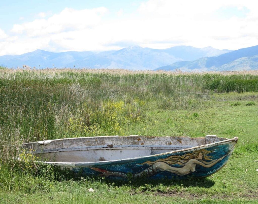 Old boat painted with mermaid among the rushes on Lake Prespa