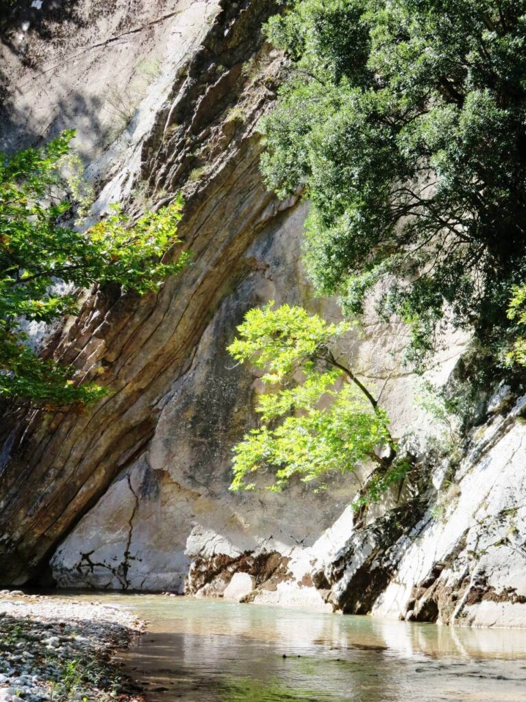 Koubourianitikos river: tree by cool river pool