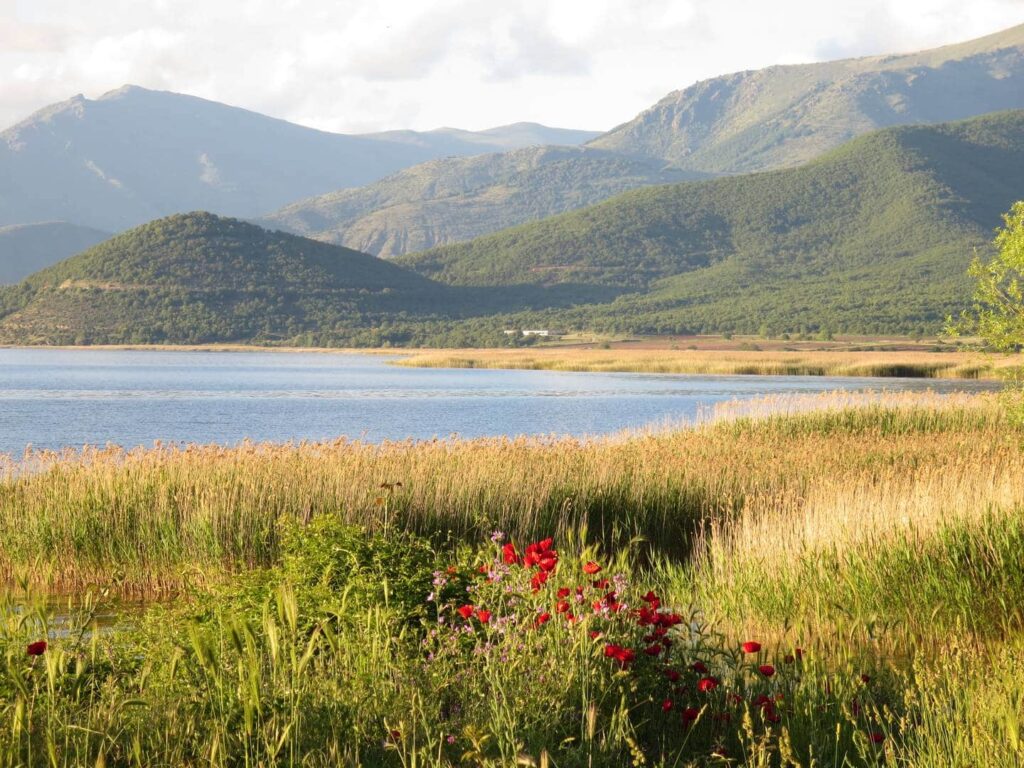 View of Lake Prespa from our tent with poppies in front and mountains behind