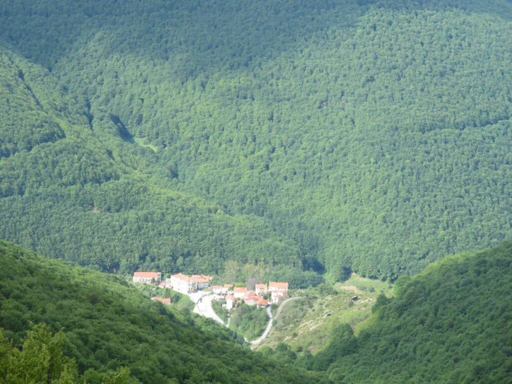 Tiny Pisoderi hamlet surrounded by forest