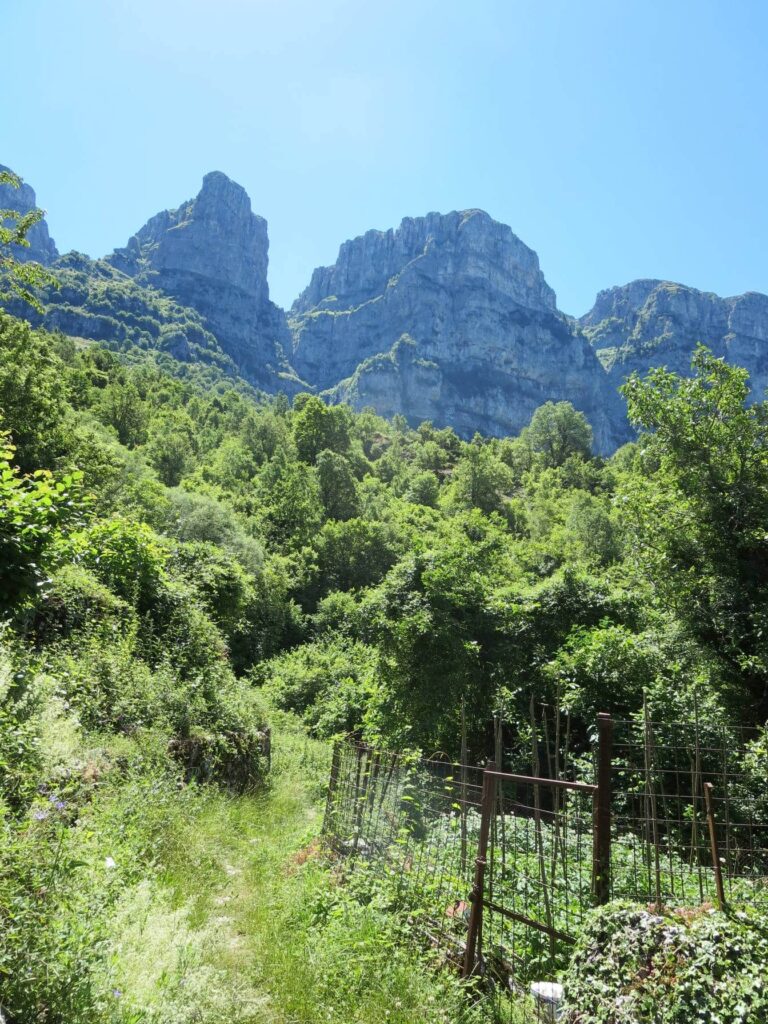 Sheer cliffs above contrast with the grassy green path down to the Vikos Gorge